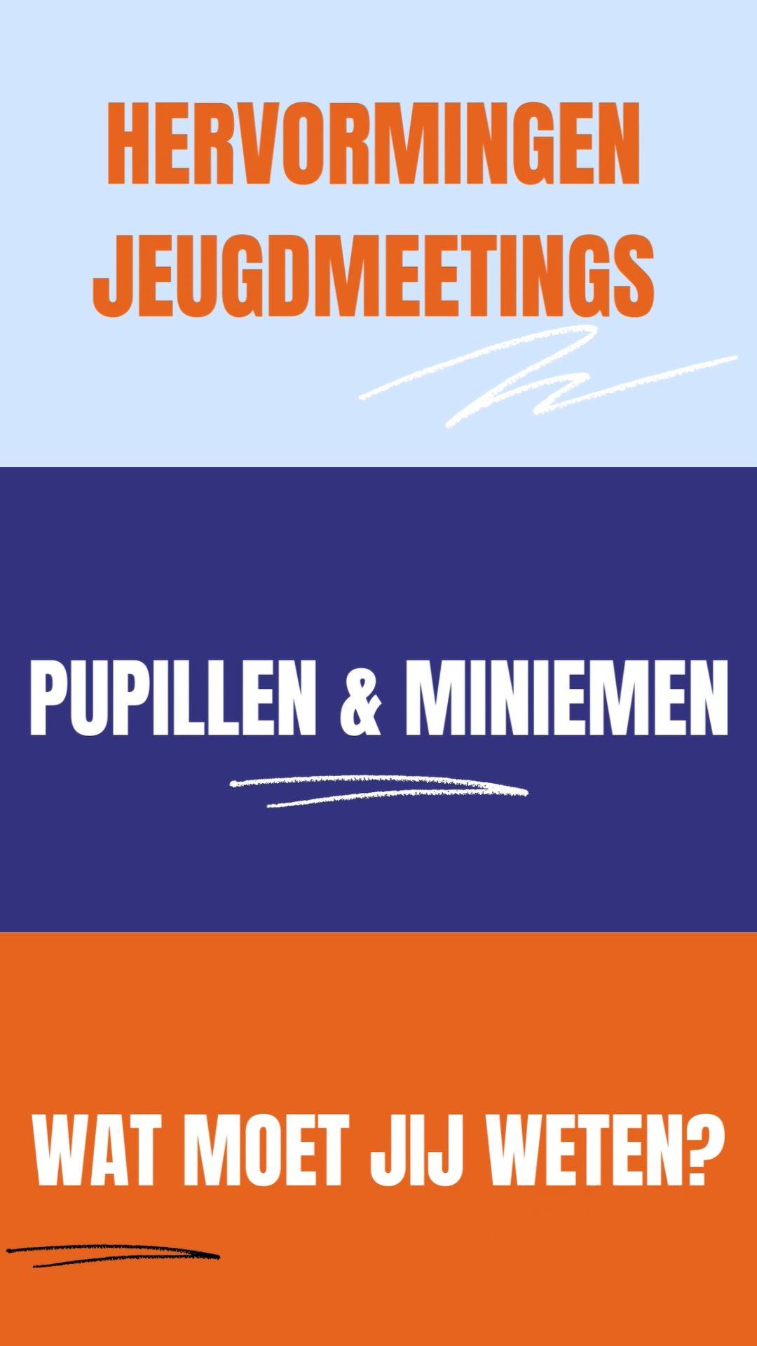 -hervormingen-pup-min