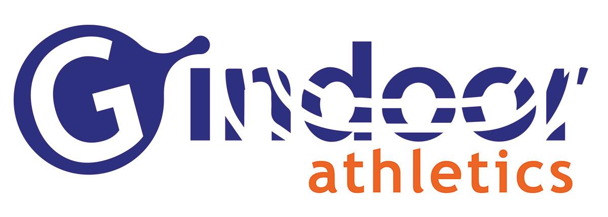 logo-gindoor-kleur-small