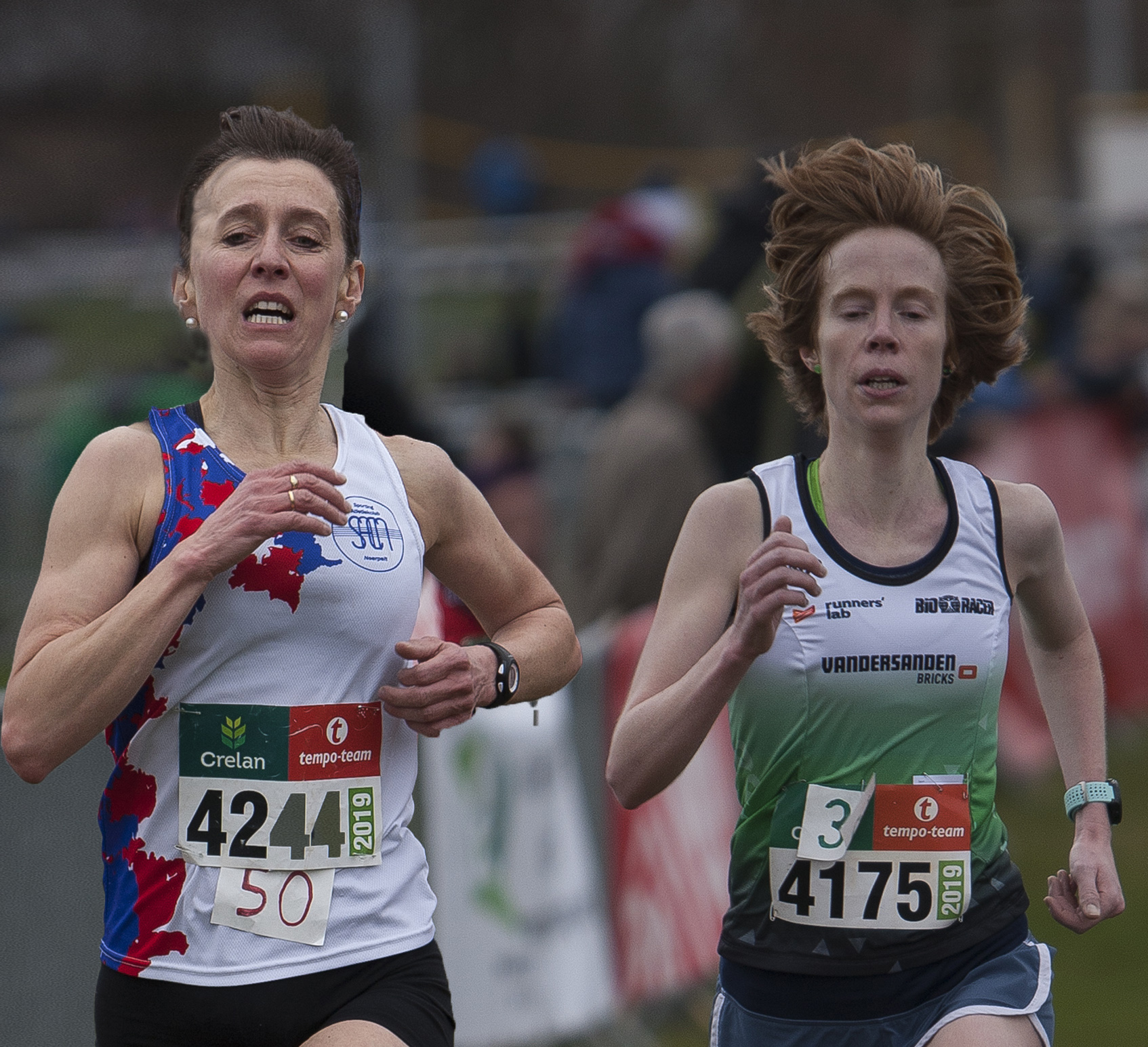 Bk Veldlopen Masters Carnaval In Tongeren En Neerpelt Atletiek