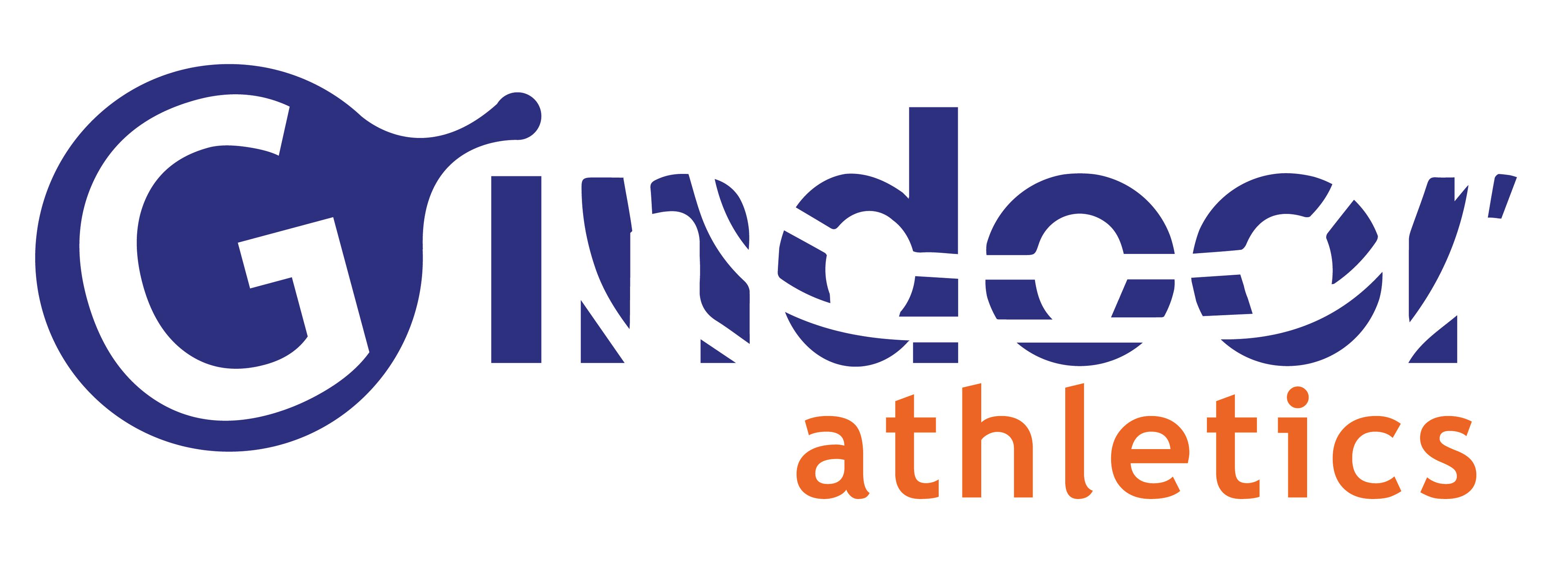 logo-gindoor-kleur
